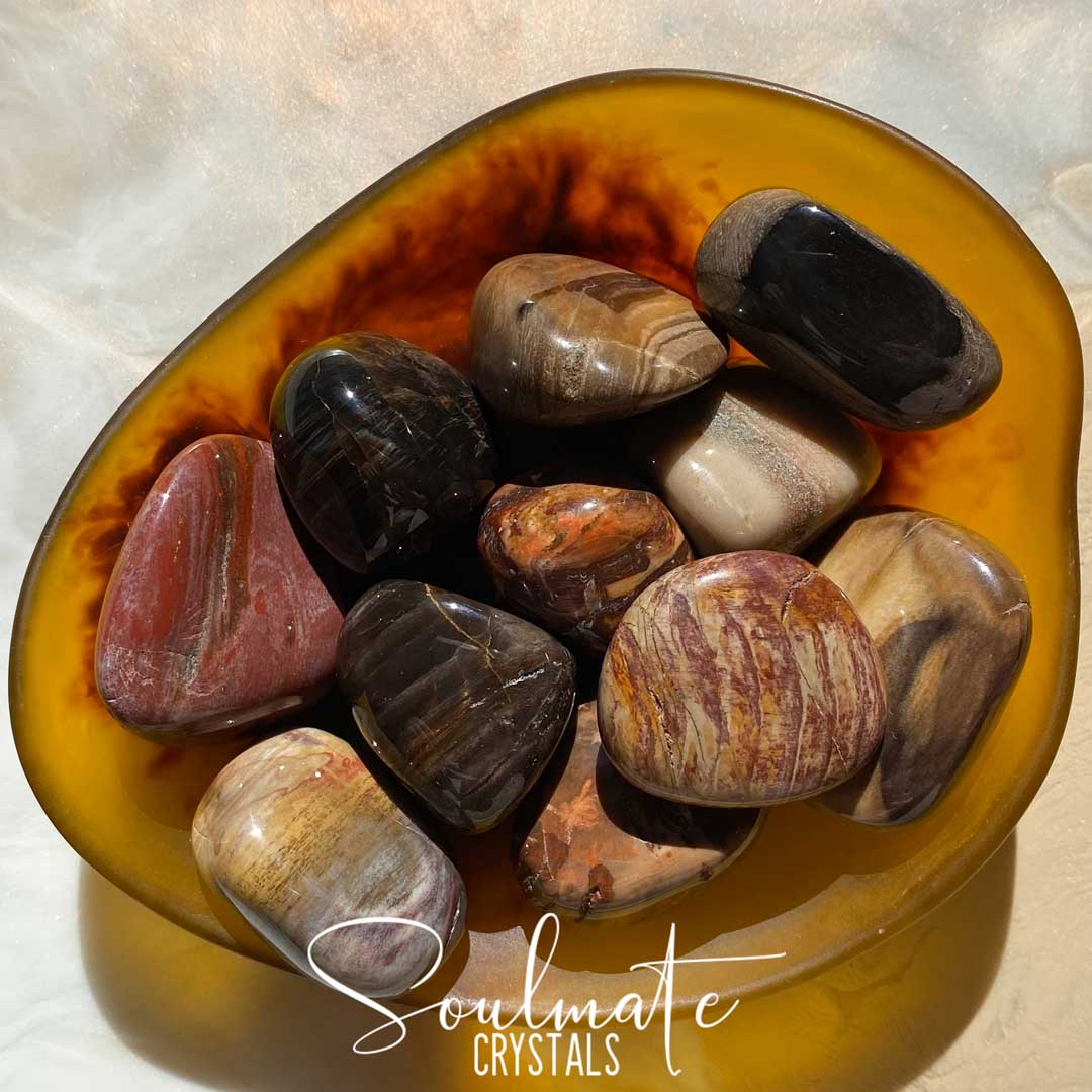 Soulmate Crystals Petrified Wood Tumbled Stone, Mixed Brown Crystal for Grounding, Stability, Ancient Wisdom.