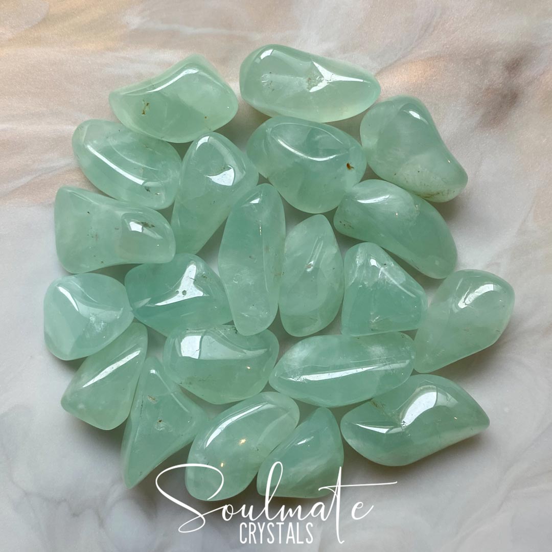 Soulmate Crystals Prehnite Mint Tumbled Stone, Mint Green Crystal for Protection, Prophecy, Stability, High Vibration Practitioner Healing Stone.