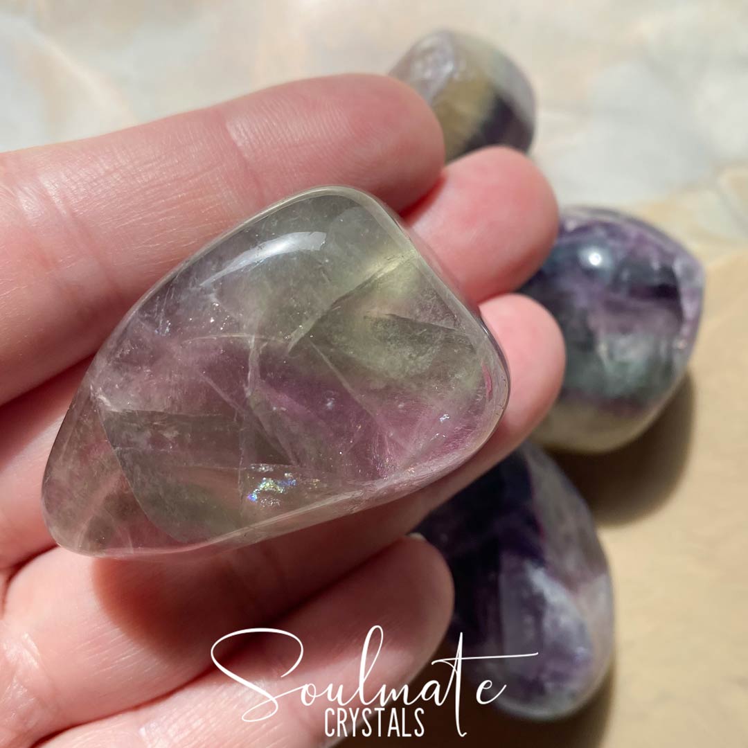 Soulmate Crystals Rainbow Fluorite Polished Pebble, Purple, Green Fluorite Crystal for Study, Focused Thinking, Mental Agility, Palm Stone.