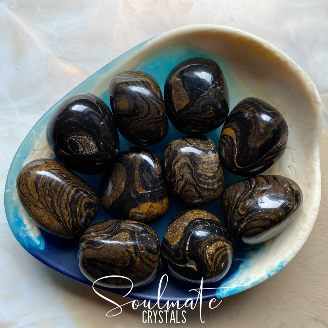 Soulmate Crystals Stromatolite Tumbled Stone, Brown Crystal for Strength, Stability, Peacefulness, Restoration.