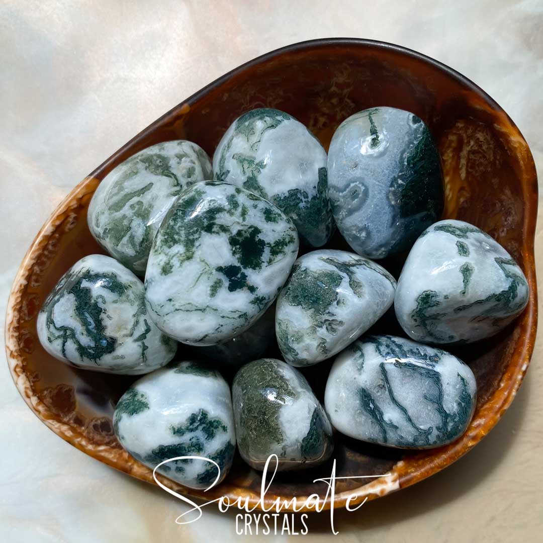 Soulmate Crystals Tree Agate Dendritic Tumbled Stone, Green Vein Patterned White Agate for Growth, Abundance, Peace, Stability.