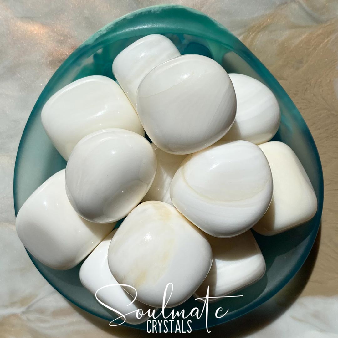 Soulmate Crystals Tridacna Gigas White Tumbled Stone, Lustrous White Crystal for Energy Cleansing, Intuition, Mental Clarity, Harmony, Spiritual Enlightenment.