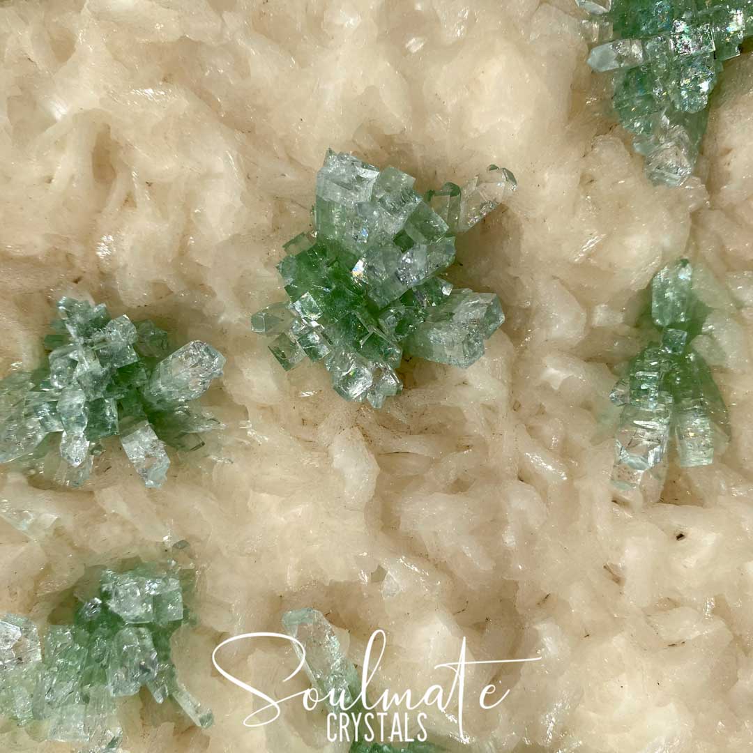 Soulmate Crystals Zeolite Green Apophyllite Flower Raw Mineral Specimen, Rare, High Vibration Crystal for Harmony